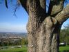 2005_Reutlingen 4
